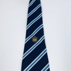 Alleynes Academy Tie