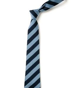 Oldfields Middle School Tie