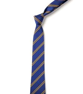 Ormiston Meridian Academy Tie