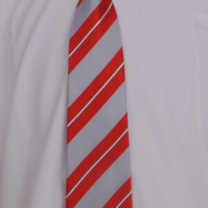 QEGS Tie