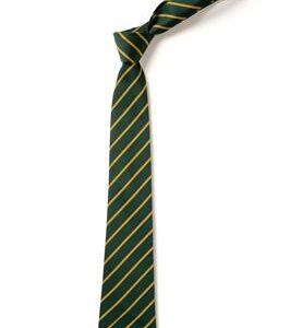 William Amory Primary Tie
