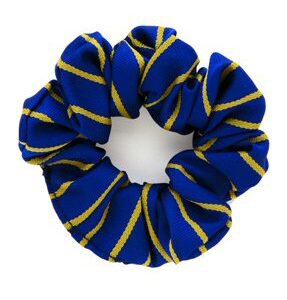 TS28 Royal/Gold Scrunchies