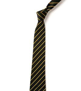 TS4 Navy/Gold Thin Stripe Tie